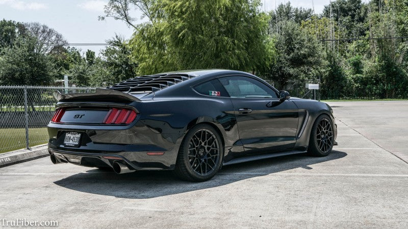 OAC “GT350” Style Carbon Fiber Fenders For Ford Mustang (2015-2017)