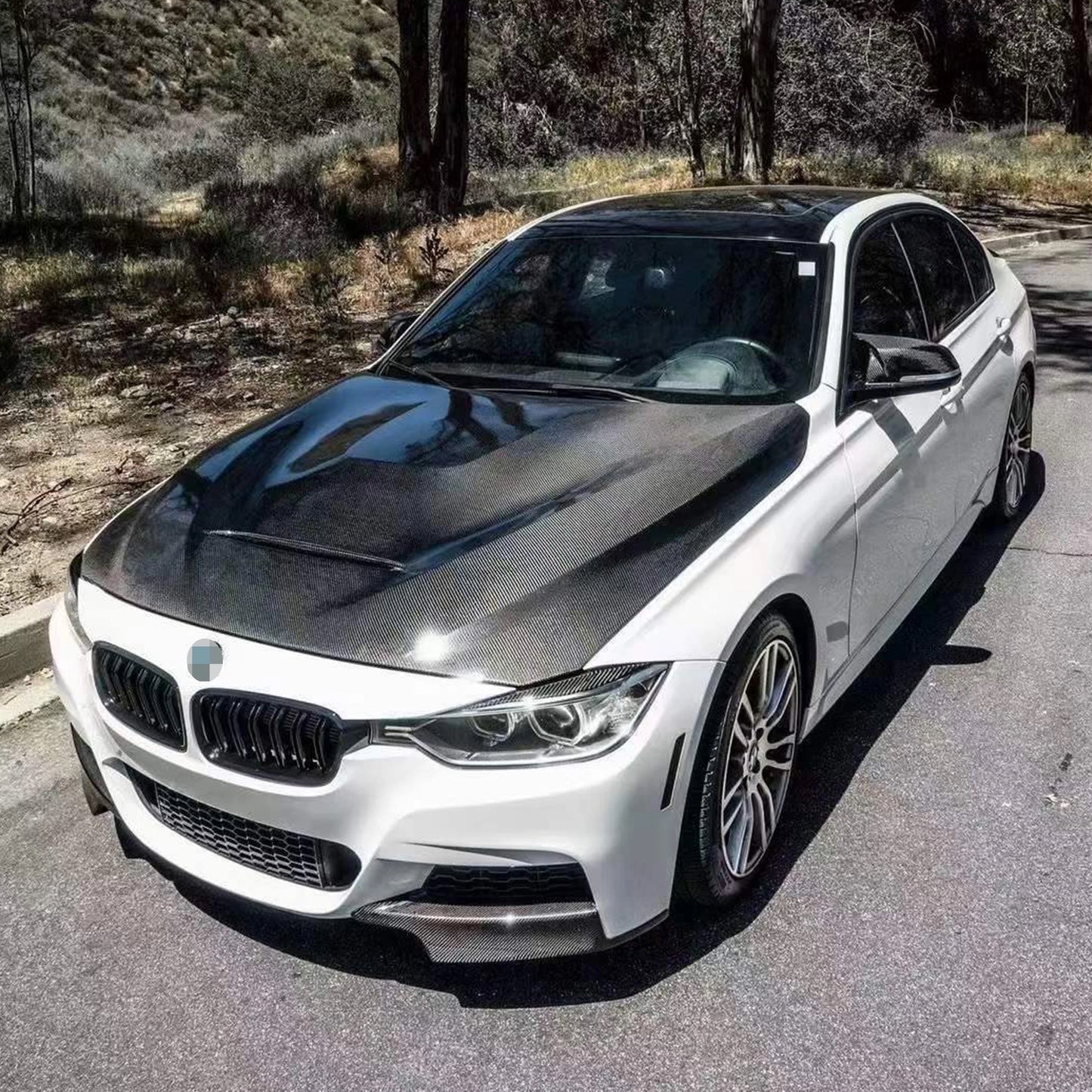 OAC “GTS” Style Carbon Fiber Hood For BMW F30 3-Series (2013-2018)